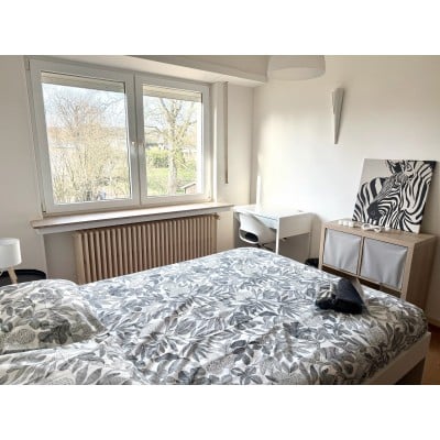 Furnished Individual Room in Pontpierre, Luxembourg | furnished.lu
