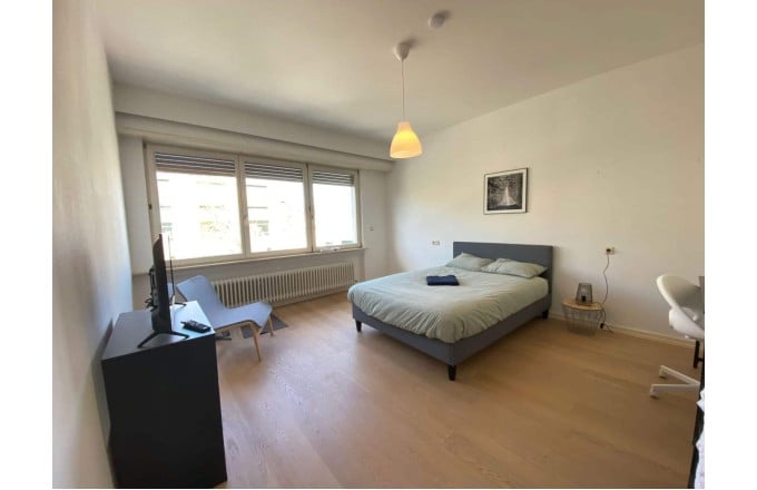 Room in Limpertsberg, 1 290€/month