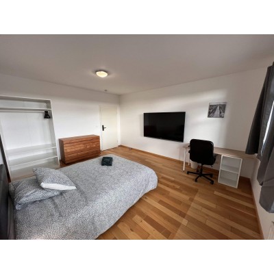 Individual Room 19m² in Belval, Esch-sur-Alzette | Furnished.lu
