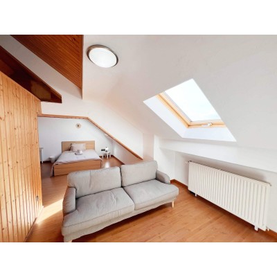 Individual Room (47m²) with Double Bed in Bascharage, Luxembourg