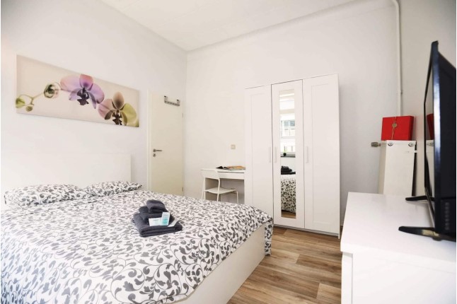 NEU 178-12