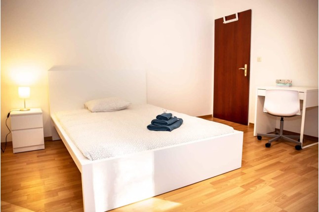 NEU 344-21