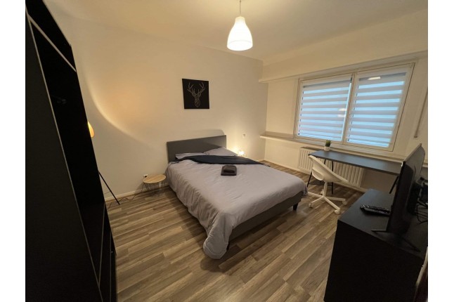 ROY 49-22