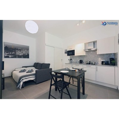 Independent Studio 25m² Pulvermühl, Luxembourg | Furnished.lu